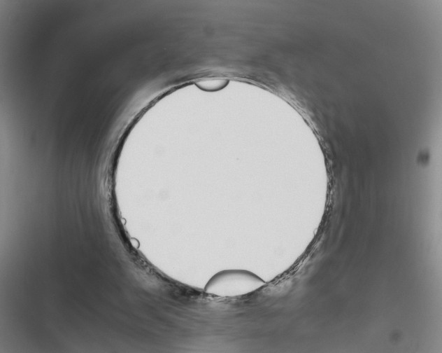 X0000116560103201001211231