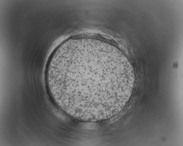 X0000116560104201001211231