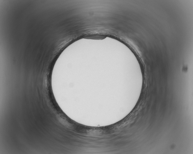 X0000116560105201001211231