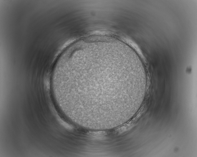 X0000116560106201001211231