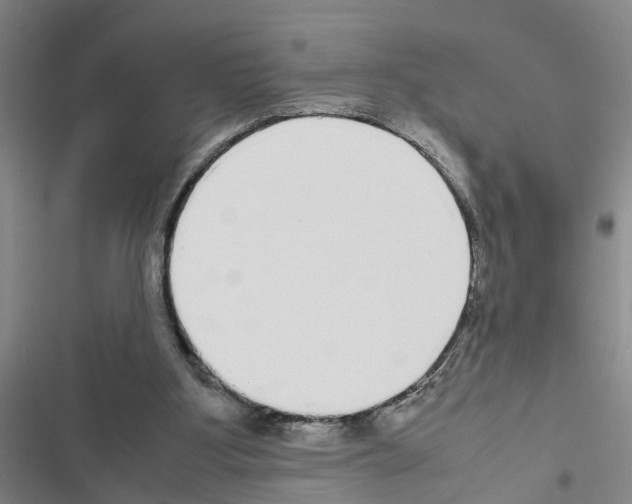 X0000116560107201001211231