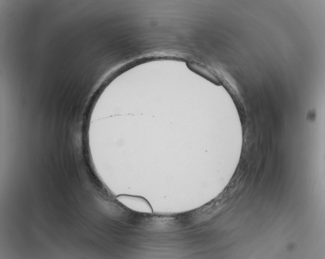 X0000116560108201001211231