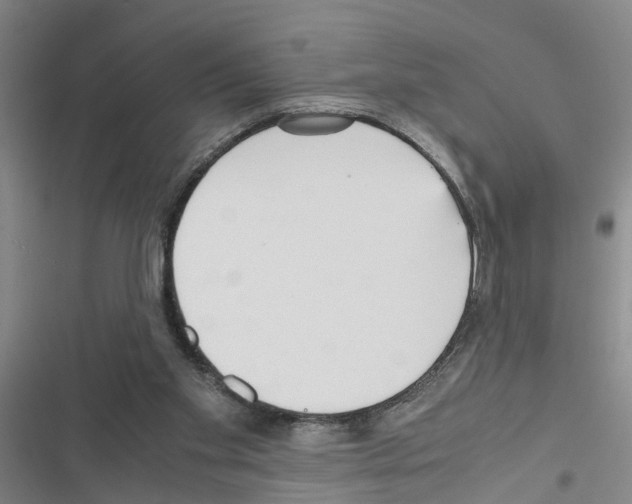 X0000116560109201001211231
