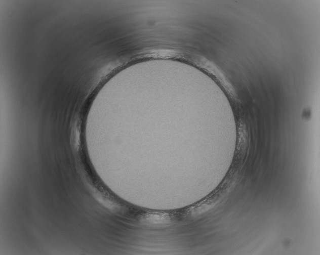 X0000116560110201001211231