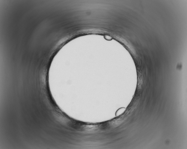 X0000116560111201001211231