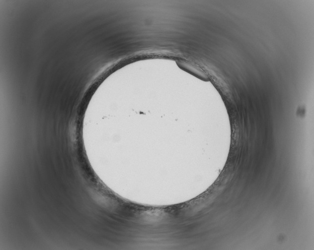X0000116560112201001211231