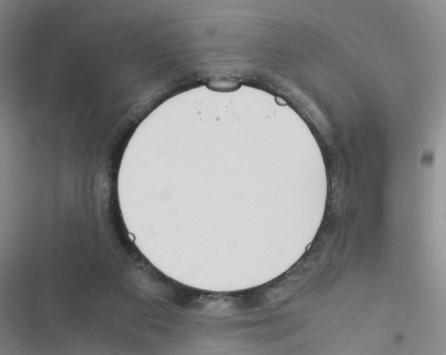 X0000116560113201001211231