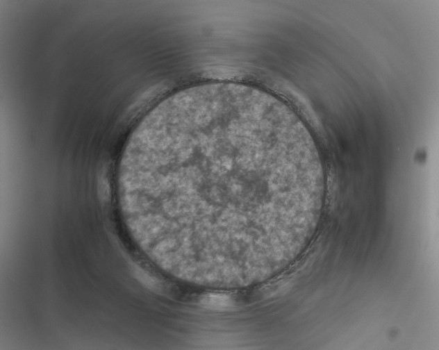 X0000116560114201001211231