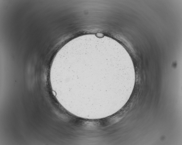 X0000116560115201001211231