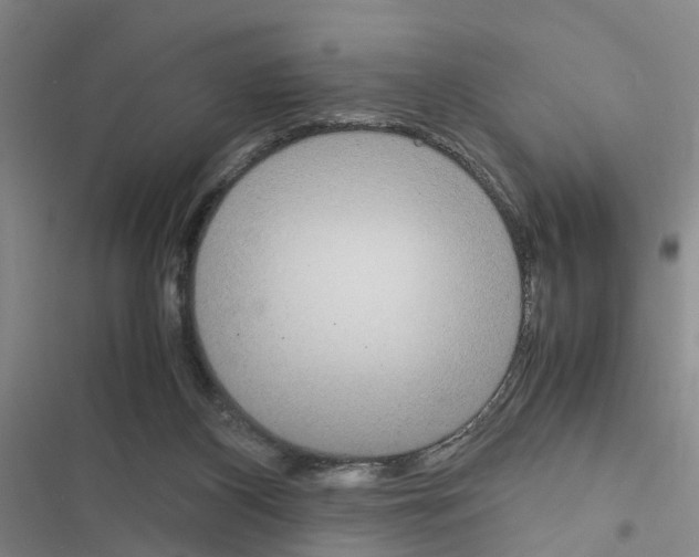 X0000116560116201001211231