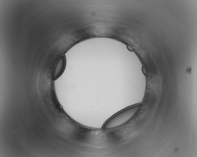 X0000116560117201001211231