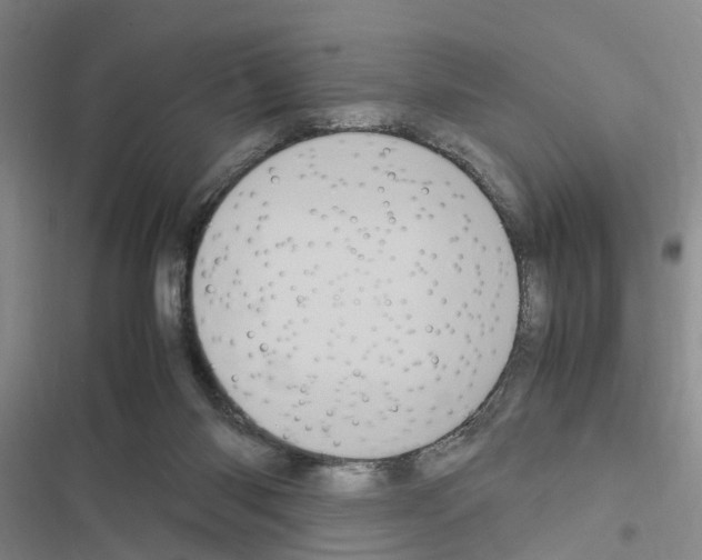 X0000116560118201001211231