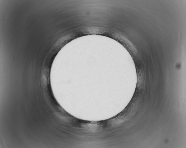 X0000116560119201001211231