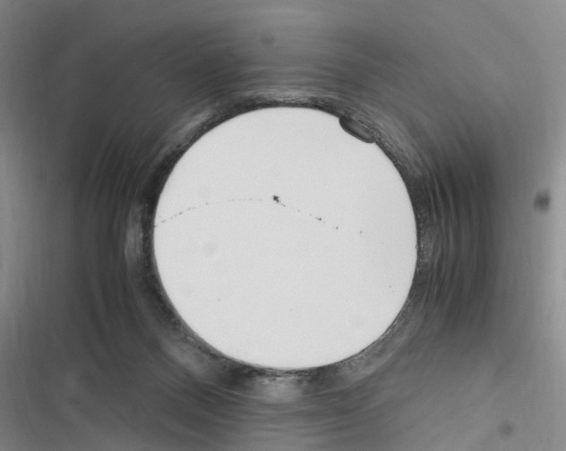X0000116560120201001211231