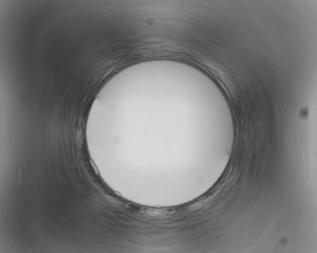 X0000116560121201001211231