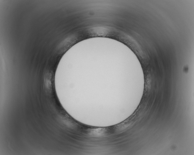 X0000116560122201001211231
