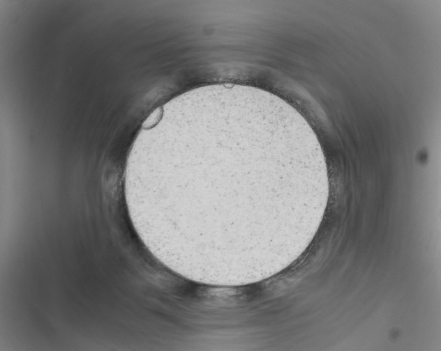 X0000116560123201001211231