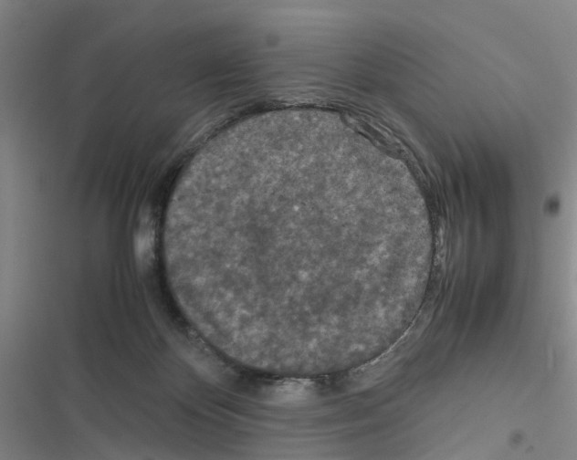 X0000116560124201001211231
