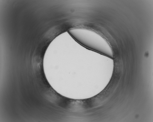 X0000116560125201001211231