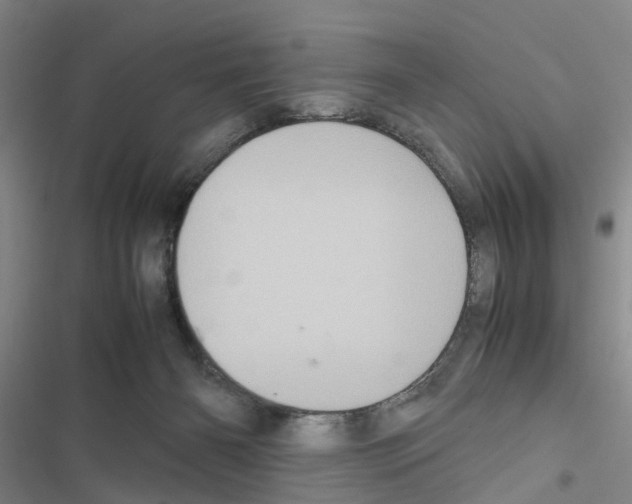 X0000116560126201001211231