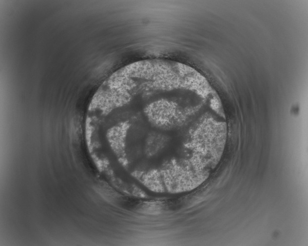 X0000116560127201001211231