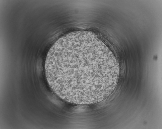 X0000116560128201001211231