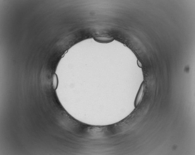 X0000116560129201001211231