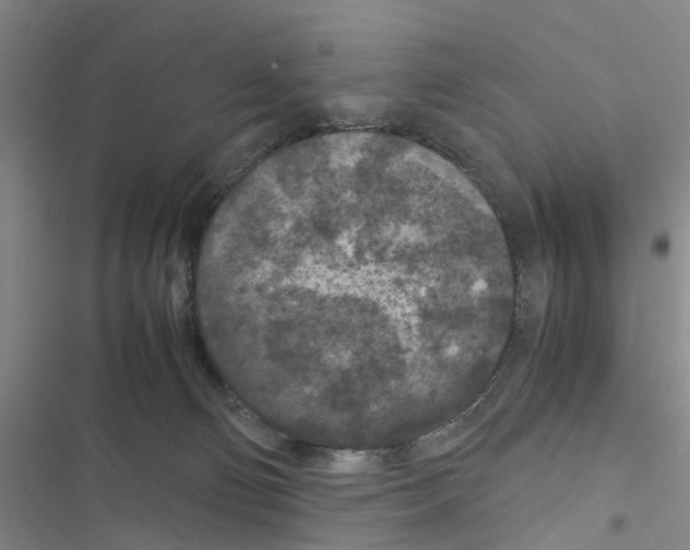 X0000116560130201001211231