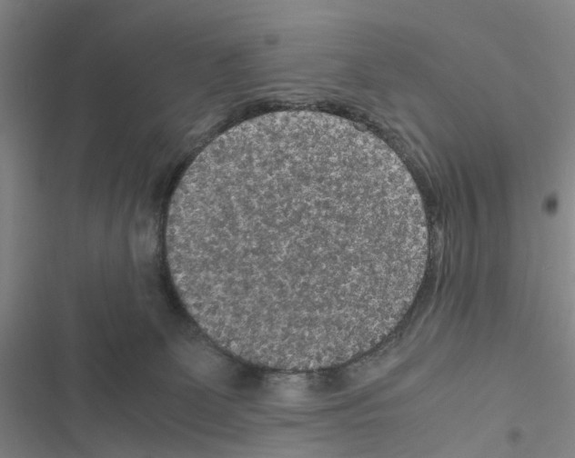 X0000116560131201001211231
