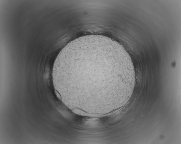 X0000116560132201001211231