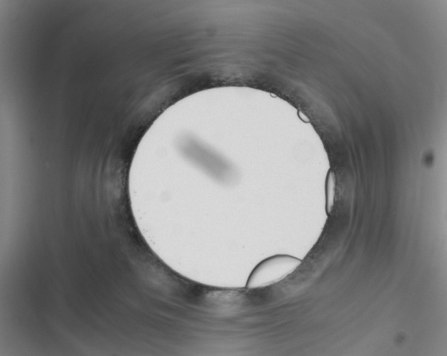 X0000116560133201001211231