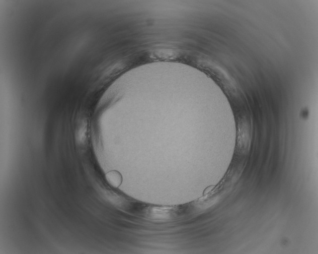 X0000116560134201001211230