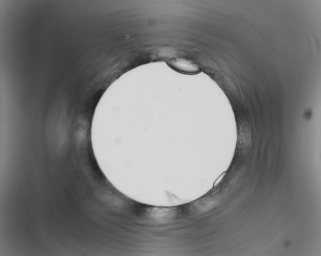 X0000116560135201001211230