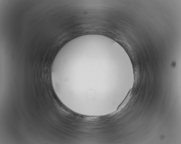 X0000116560136201001211230