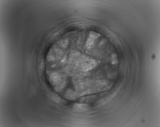 X0000116560137201001211230