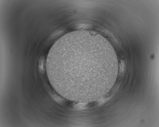 X0000116560138201001211230