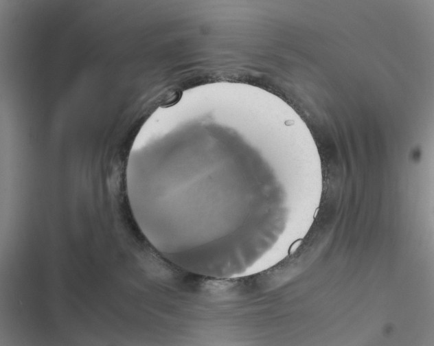 X0000116560139201001211230