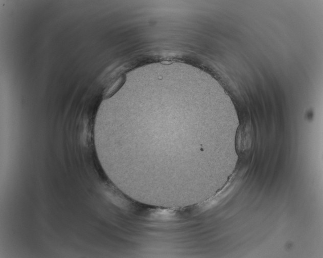 X0000116560140201001211230