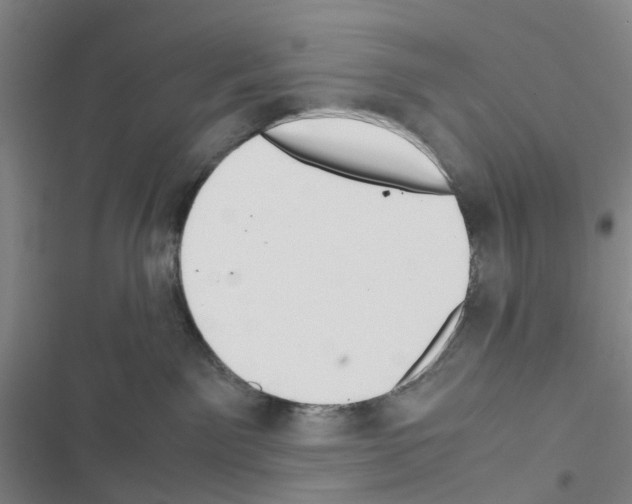 X0000116560141201001211230
