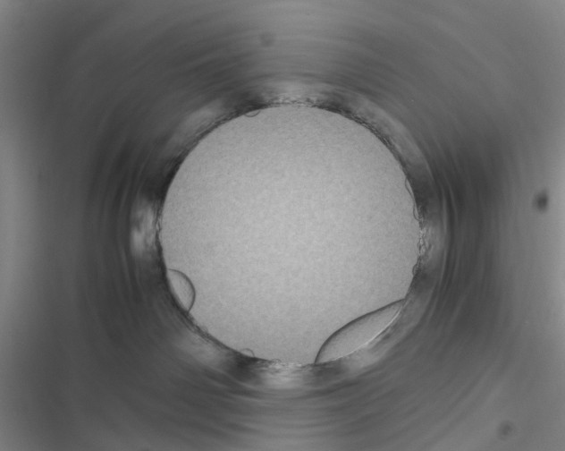 X0000116560142201001211230