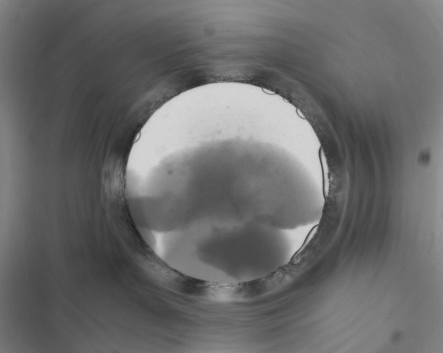 X0000116560143201001211230