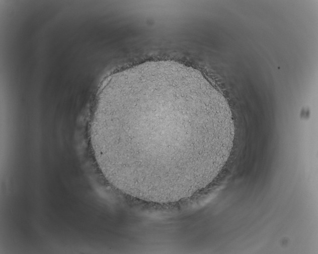 X0000116560144201001211230