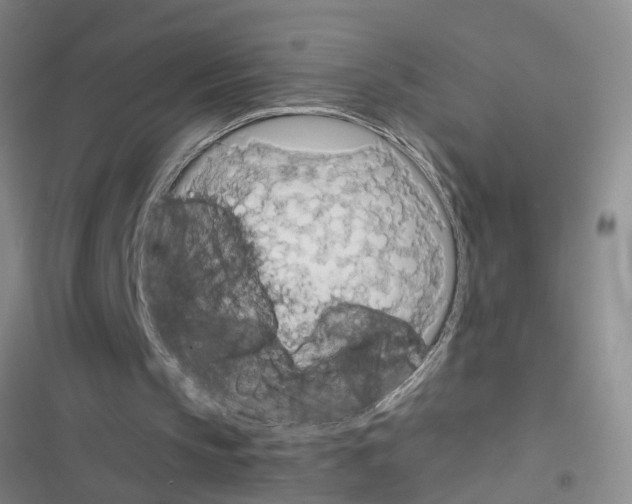 X0000116560145201001211230