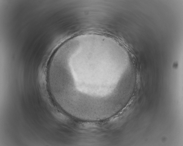 X0000116560146201001211230