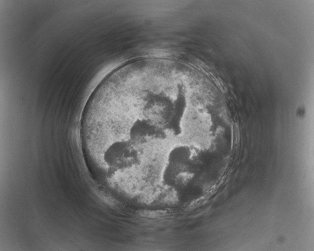 X0000116560147201001211230