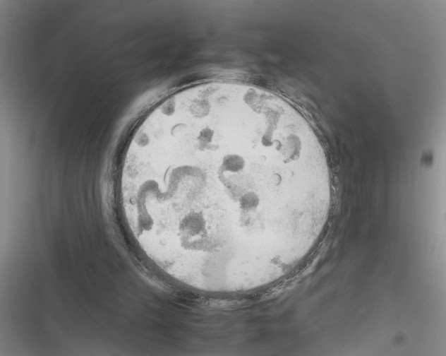 X0000116560149201001211230