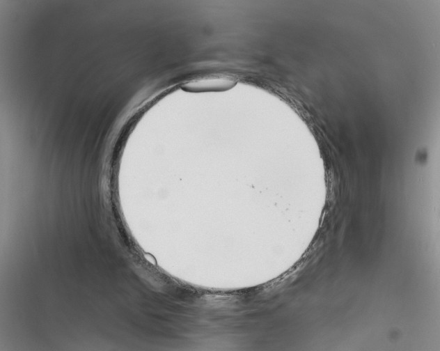 X0000116560150201001211230