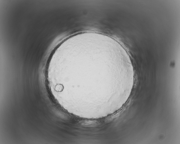 X0000116560151201001211230