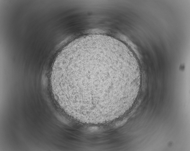X0000116560153201001211230