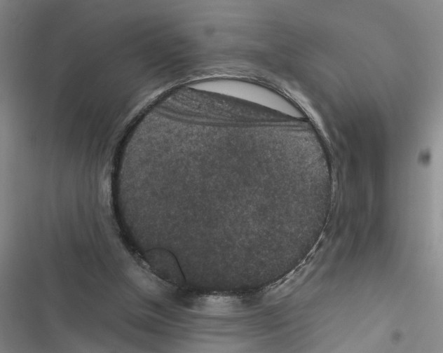 X0000116560154201001211230